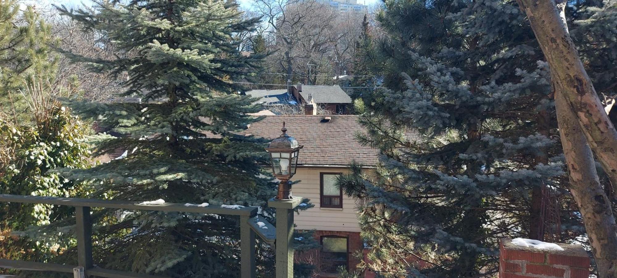 High Park Single Room With Personal Washroom And Kitchen Toronto Dış mekan fotoğraf