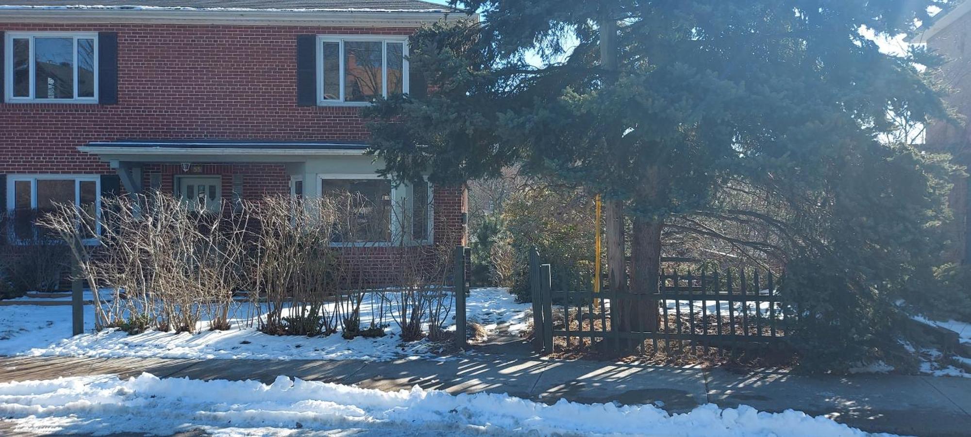 High Park Single Room With Personal Washroom And Kitchen Toronto Dış mekan fotoğraf